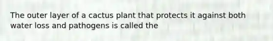 The outer layer of a cactus plant that protects it against both water loss and pathogens is called the