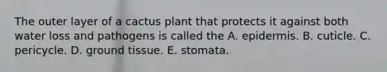 The outer layer of a cactus plant that protects it against both water loss and pathogens is called the A. epidermis. B. cuticle. C. pericycle. D. <a href='https://www.questionai.com/knowledge/kb0kKBaH0H-ground-tissue' class='anchor-knowledge'>ground tissue</a>. E. stomata.