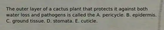 The outer layer of a cactus plant that protects it against both water loss and pathogens is called the A. pericycle. B. epidermis. C. ground tissue. D. stomata. E. cuticle.