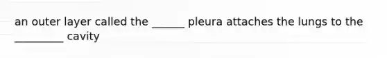 an outer layer called the ______ pleura attaches the lungs to the _________ cavity