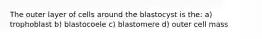 The outer layer of cells around the blastocyst is the: a) trophoblast b) blastocoele c) blastomere d) outer cell mass