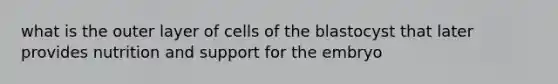 what is the outer layer of cells of the blastocyst that later provides nutrition and support for the embryo