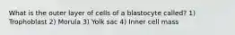 What is the outer layer of cells of a blastocyte called? 1) Trophoblast 2) Morula 3) Yolk sac 4) Inner cell mass