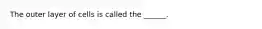 The outer layer of cells is called the ______.