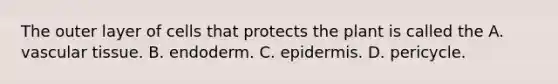 The outer layer of cells that protects the plant is called the A. vascular tissue. B. endoderm. C. epidermis. D. pericycle.