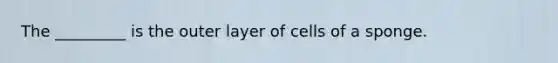 The _________ is the outer layer of cells of a sponge.