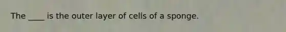 The ____ is the outer layer of cells of a sponge.