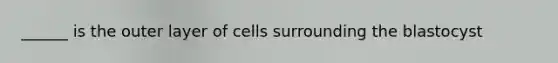 ______ is the outer layer of cells surrounding the blastocyst