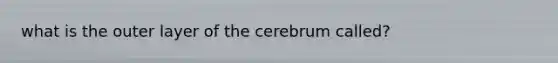 what is the outer layer of the cerebrum called?