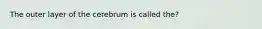 The outer layer of the cerebrum is called the?