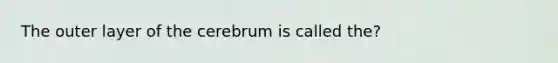 The outer layer of the cerebrum is called the?