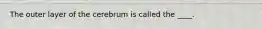 The outer layer of the cerebrum is called the ____.