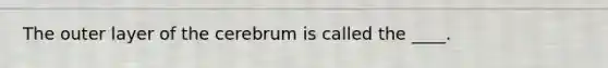 The outer layer of the cerebrum is called the ____.