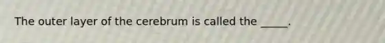 The outer layer of the cerebrum is called the _____.