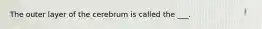 The outer layer of the cerebrum is called the ___.