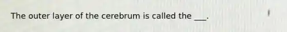 The outer layer of the cerebrum is called the ___.