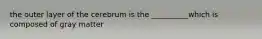 the outer layer of the cerebrum is the __________which is composed of gray matter