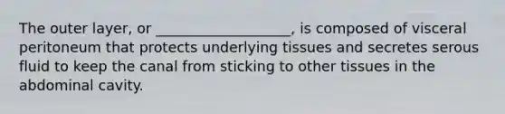 The outer layer, or ___________________, is composed of visceral peritoneum that protects underlying tissues and secretes serous fluid to keep the canal from sticking to other tissues in the abdominal cavity.