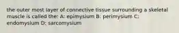 the outer most layer of connective tissue surrounding a skeletal muscle is called the: A: epimysium B: perimysium C: endomysium D: sarcomysium