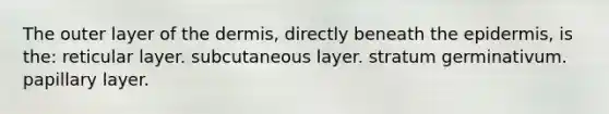 The outer layer of the dermis, directly beneath the epidermis, is the: reticular layer. subcutaneous layer. stratum germinativum. papillary layer.