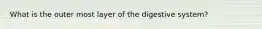 What is the outer most layer of the digestive system?