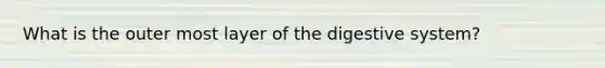 What is the outer most layer of the digestive system?