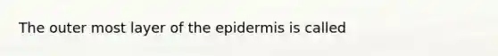 The outer most layer of the epidermis is called