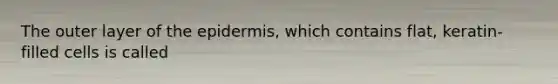 The outer layer of the epidermis, which contains flat, keratin-filled cells is called