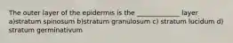 The outer layer of the epidermis is the _____________ layer a)stratum spinosum b)stratum granulosum c) stratum lucidum d) stratum germinativum