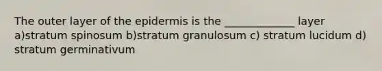 The outer layer of <a href='https://www.questionai.com/knowledge/kBFgQMpq6s-the-epidermis' class='anchor-knowledge'>the epidermis</a> is the _____________ layer a)stratum spinosum b)stratum granulosum c) stratum lucidum d) stratum germinativum