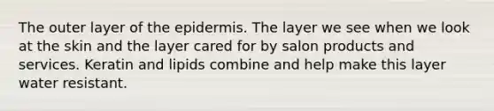 The outer layer of the epidermis. The layer we see when we look at the skin and the layer cared for by salon products and services. Keratin and lipids combine and help make this layer water resistant.