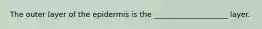 The outer layer of the epidermis is the ____________________ layer.