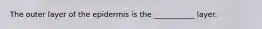 The outer layer of the epidermis is the ___________ layer.