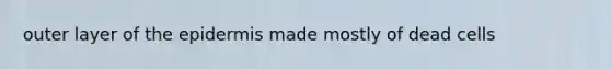 outer layer of <a href='https://www.questionai.com/knowledge/kBFgQMpq6s-the-epidermis' class='anchor-knowledge'>the epidermis</a> made mostly of dead cells