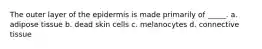 The outer layer of the epidermis is made primarily of _____. a. adipose tissue b. dead skin cells c. melanocytes d. connective tissue