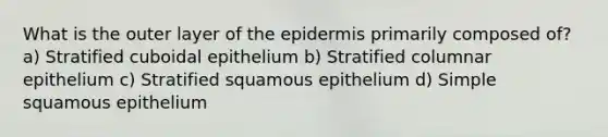 What is the outer layer of the epidermis primarily composed of? a) Stratified cuboidal epithelium b) Stratified columnar epithelium c) Stratified squamous epithelium d) Simple squamous epithelium