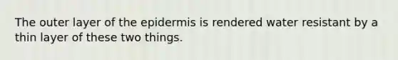 The outer layer of the epidermis is rendered water resistant by a thin layer of these two things.