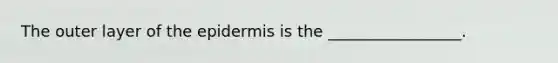 The outer layer of the epidermis is the _________________.