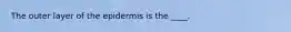 The outer layer of the epidermis is the ____.