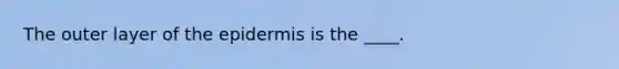 The outer layer of the epidermis is the ____.