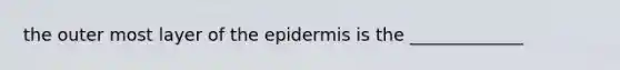 the outer most layer of the epidermis is the _____________