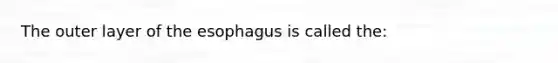 The outer layer of the esophagus is called the: