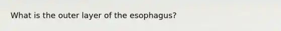 What is the outer layer of the esophagus?