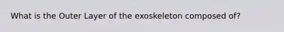 What is the Outer Layer of the exoskeleton composed of?