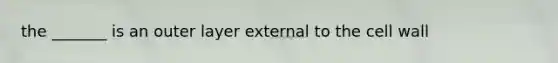 the _______ is an outer layer external to the cell wall