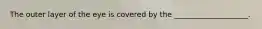 The outer layer of the eye is covered by the ____________________.