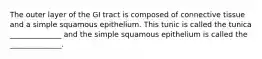 The outer layer of the GI tract is composed of connective tissue and a simple squamous epithelium. This tunic is called the tunica ______________ and the simple squamous epithelium is called the ______________.