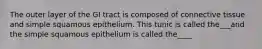 The outer layer of the GI tract is composed of connective tissue and simple squamous epithelium. This tunic is called the___and the simple squamous epithelium is called the____