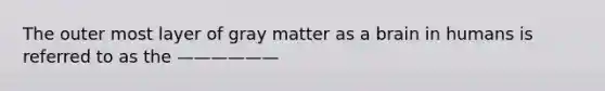 The outer most layer of gray matter as a brain in humans is referred to as the ——————