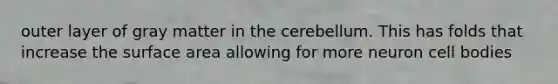 outer layer of gray matter in the cerebellum. This has folds that increase the surface area allowing for more neuron cell bodies